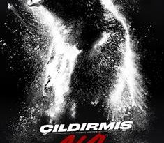 Çıldırmış Ayı
