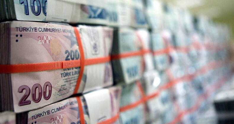 Hazine 25,2 milyar lira borçlandı