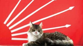 OLAN BİTENİN VEBALİ BOYNUNUZDA!