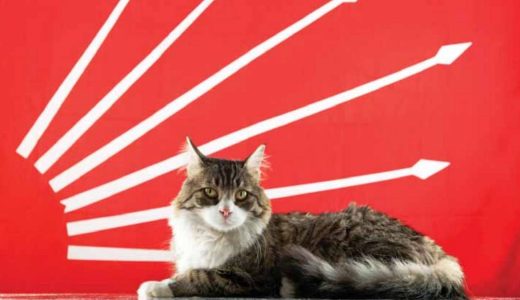 OLAN BİTENİN VEBALİ BOYNUNUZDA!