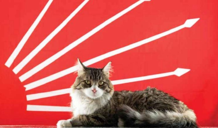 OLAN BİTENİN VEBALİ BOYNUNUZDA!