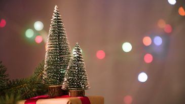 Tekrarlanan Sözlerin Ardında Saklı Umut: Yeni Yıla Dair