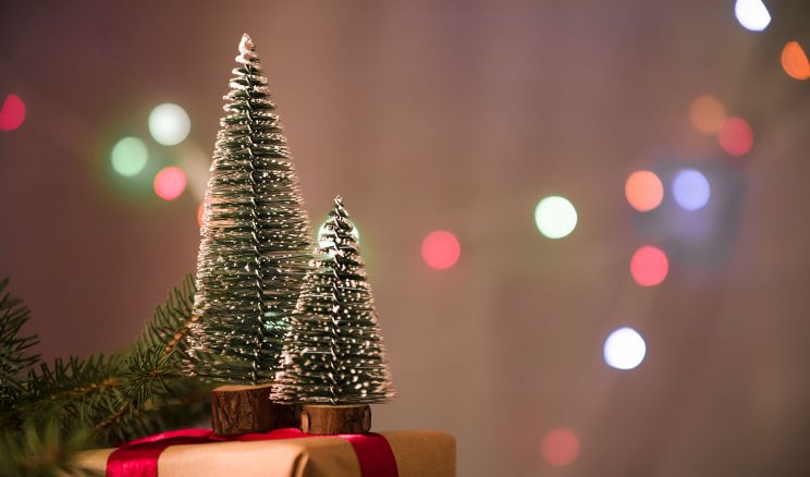 Tekrarlanan Sözlerin Ardında Saklı Umut: Yeni Yıla Dair