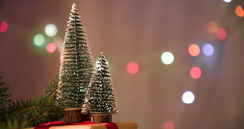 Tekrarlanan Sözlerin Ardında Saklı Umut: Yeni Yıla Dair